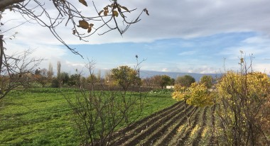 Lebanon's Neglected Agricultural Potential - a Story of Baalbek